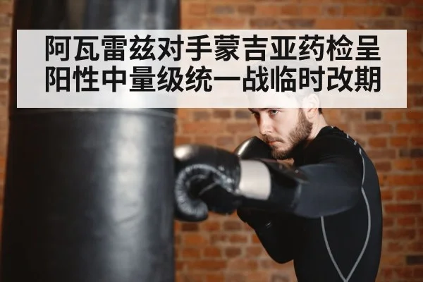 boxer training punching bag