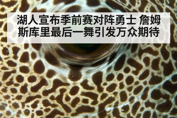 湖人宣布季前赛对阵勇士 詹姆斯库里最后一舞引发万众期待